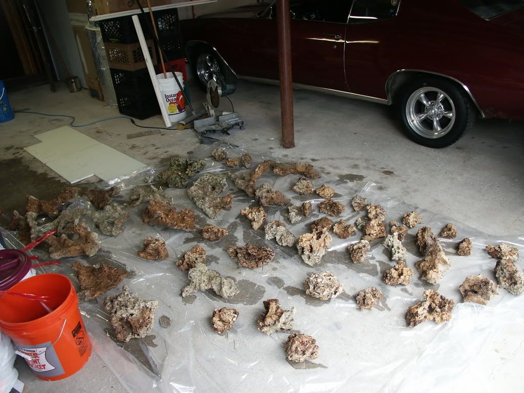 PICT0204.jpg
