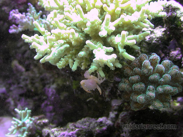 DSCN3873.jpg