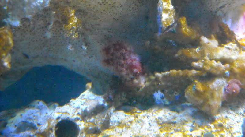 DSCN1562.jpg