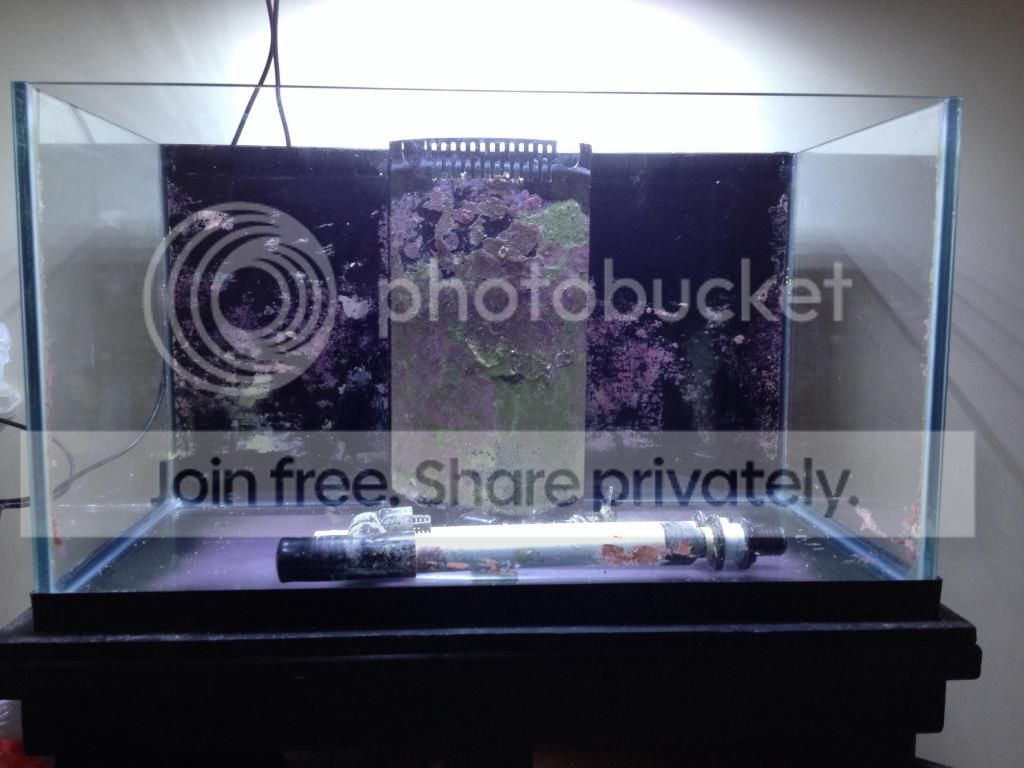 imagejpg2_zps0ecd4690.jpg