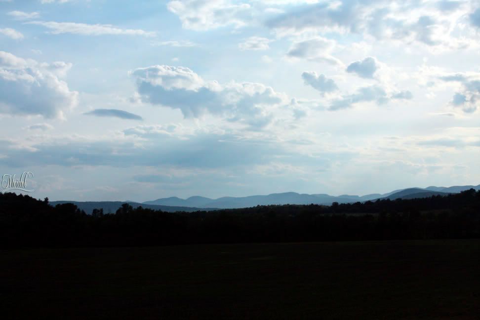 IMG_6236.jpg