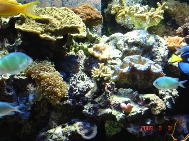 DSC02912Small.jpg