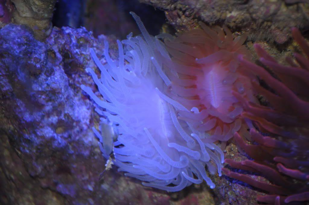 DSC_1297.jpg