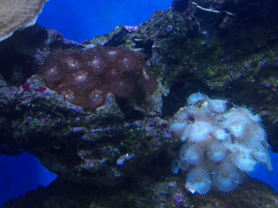 000_2490.jpg