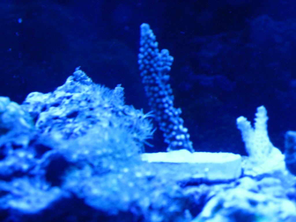 IMG_0254.jpg