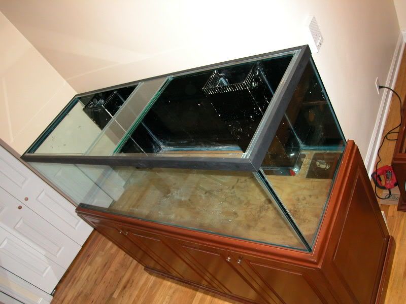 DSCN2435.jpg