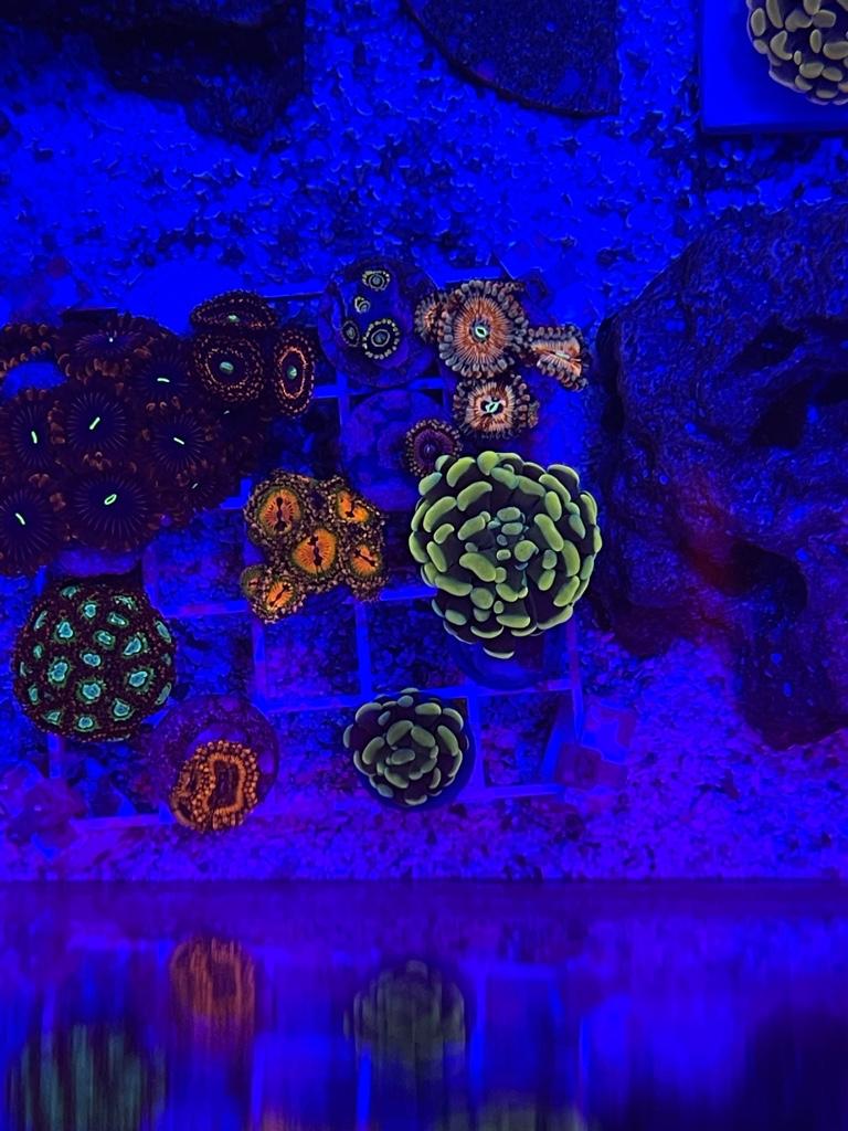 502e79a69cae0183494b71af3fd97f68.jpg