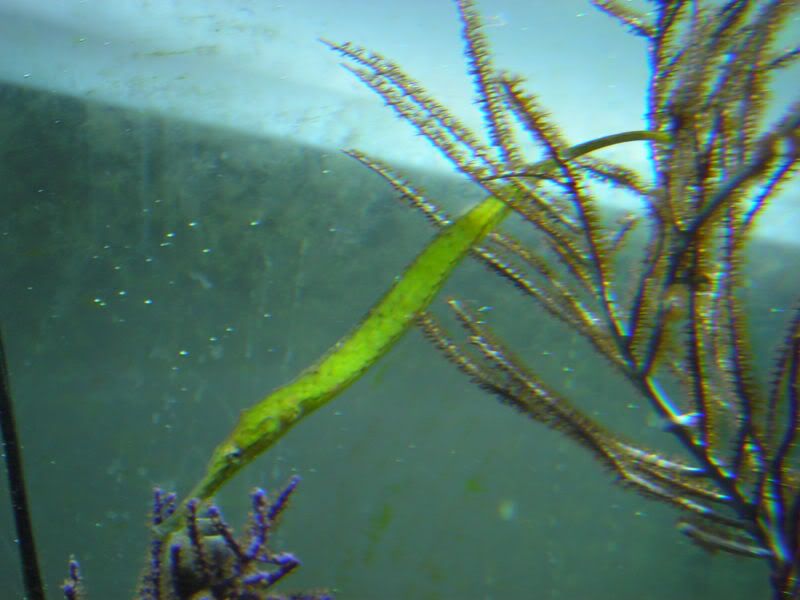 DSCN2131.jpg