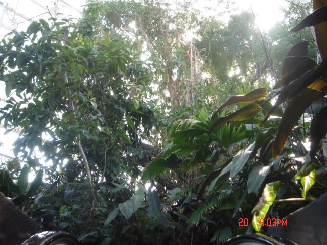 DSC01436.jpg