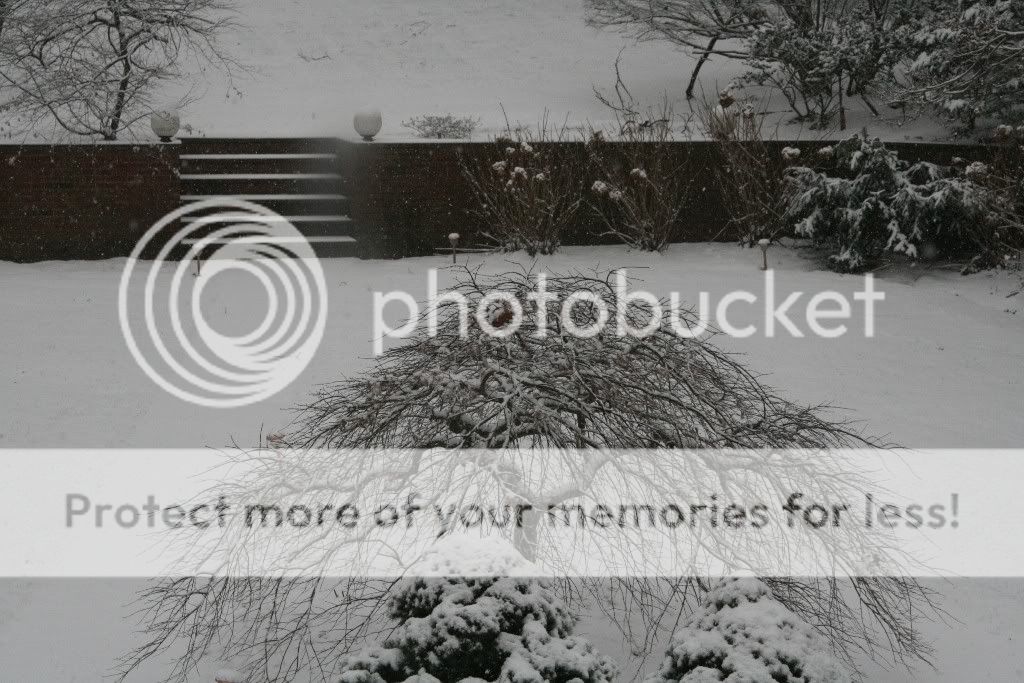 2009-12-300721024x683.jpg