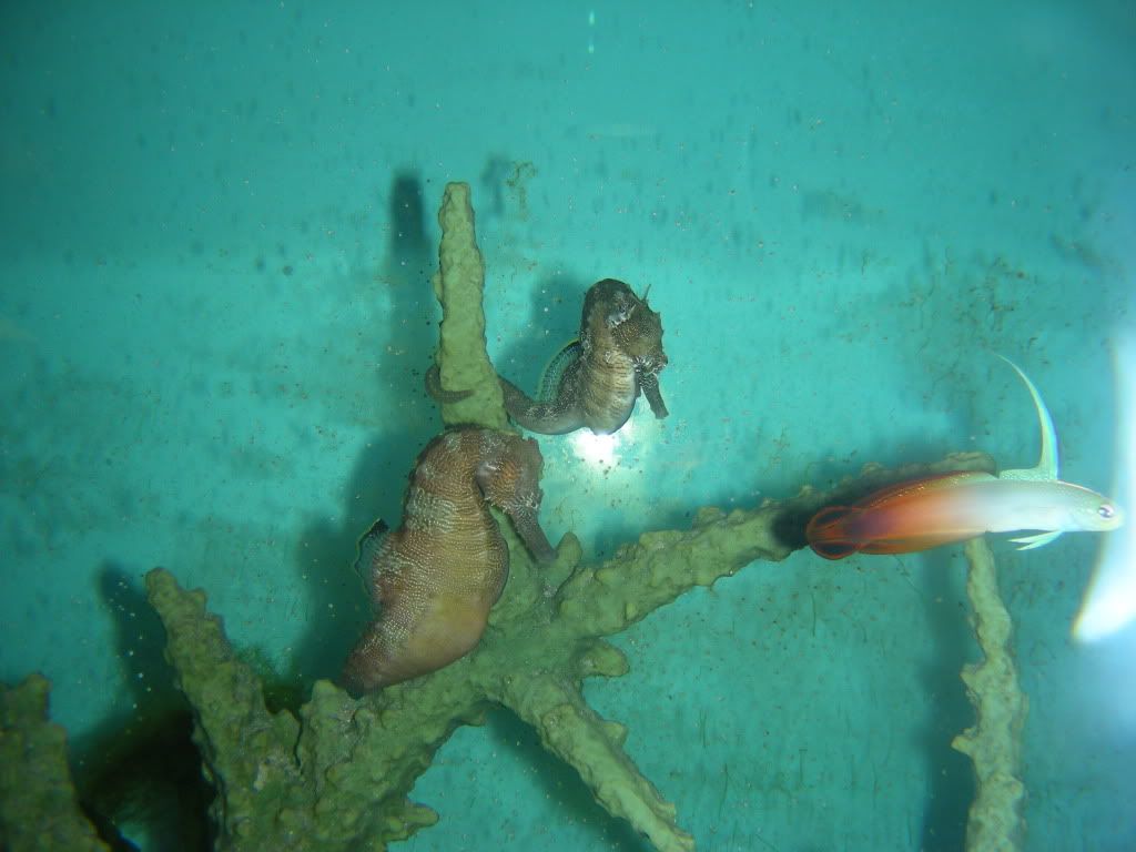 DSCN1359.jpg