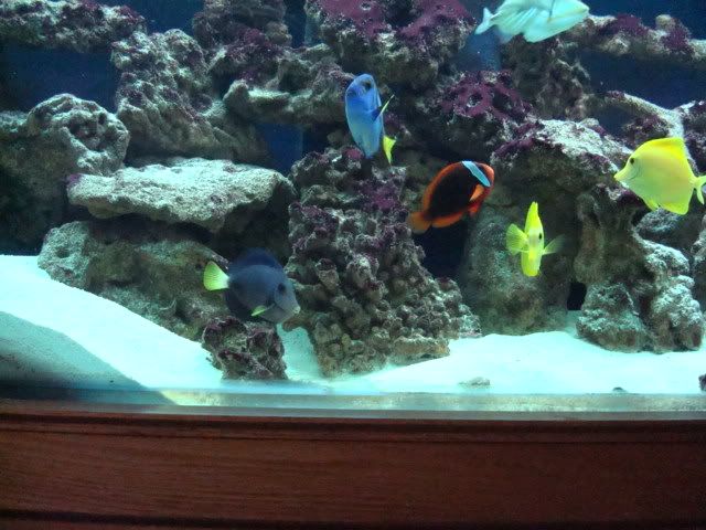 DSC03850.jpg