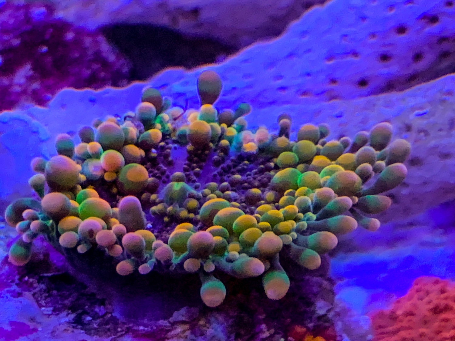 6d47aae155f40825ff7ad0cc1449f98b.jpg