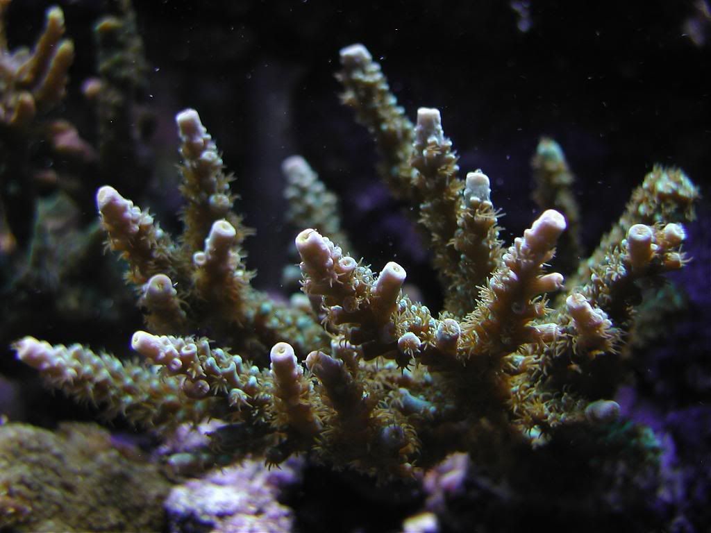 P1010530.jpg