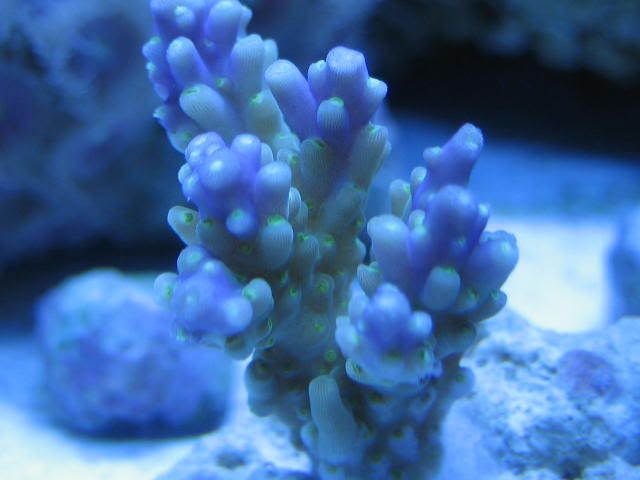 IMG_1337.jpg