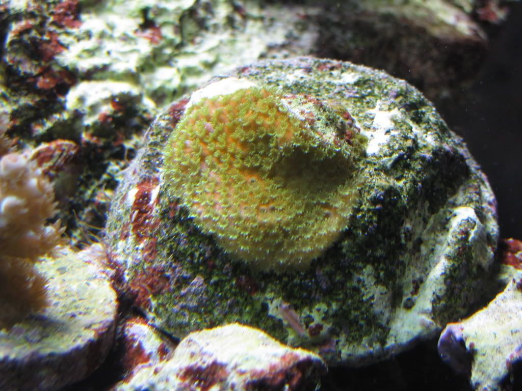 IMG_0182.jpg