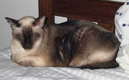 alex_110506.jpg