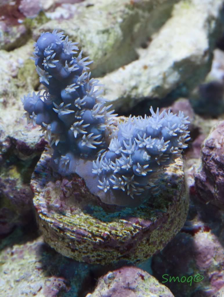 DSC_0114.jpg