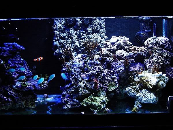 fts2.jpg