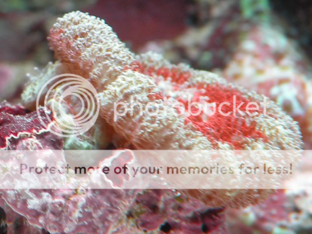 RSCN4333.jpg