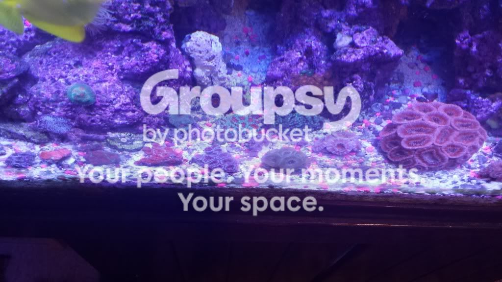 20130912_124559.jpg