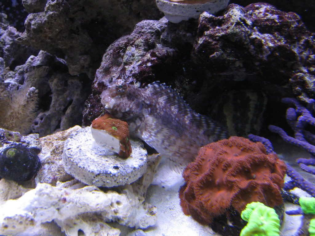 IMG_0489.jpg