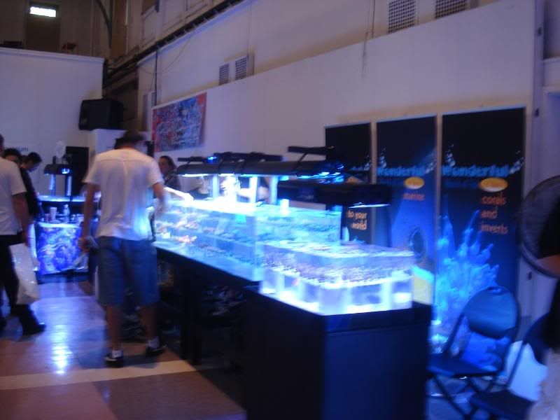 mrfragsswap4-09020.jpg