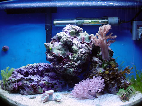 tankfull071702.jpg