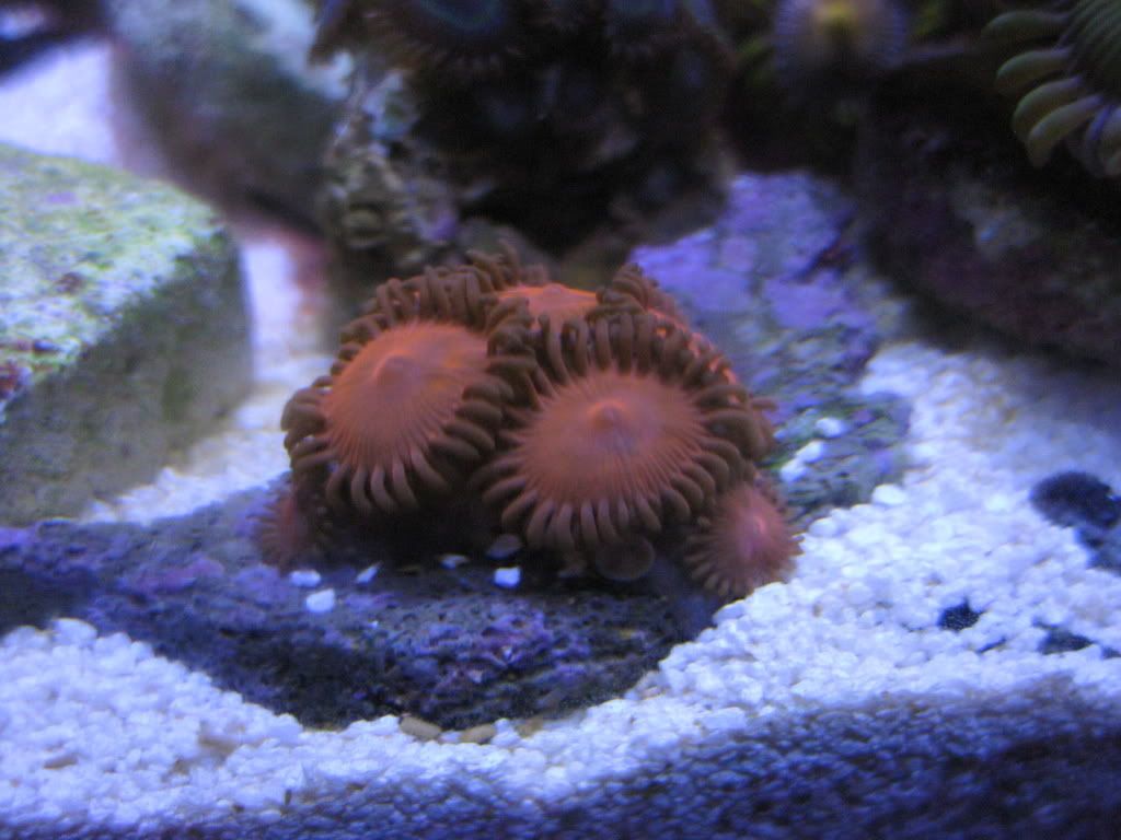 IMG_2562.jpg
