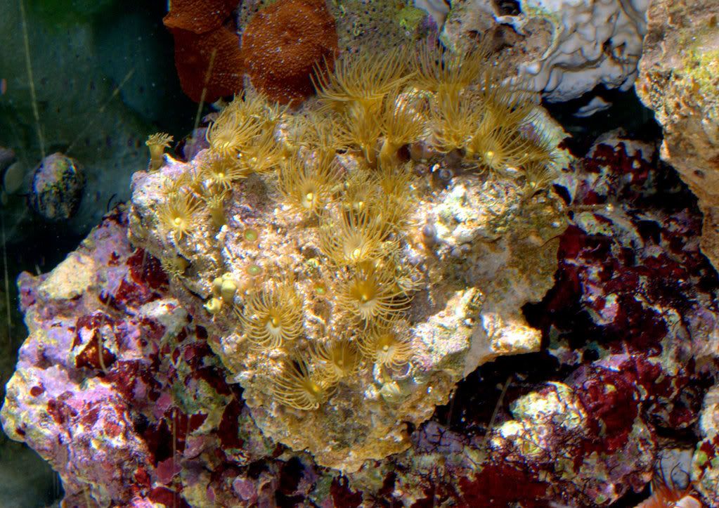 P5297593.jpg