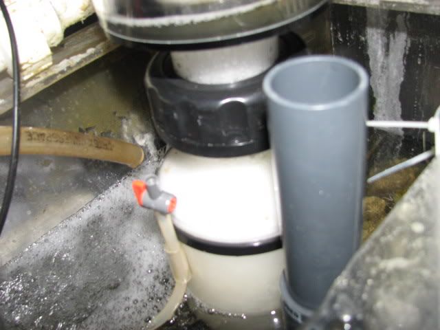 E-RRS80skimmer004.jpg