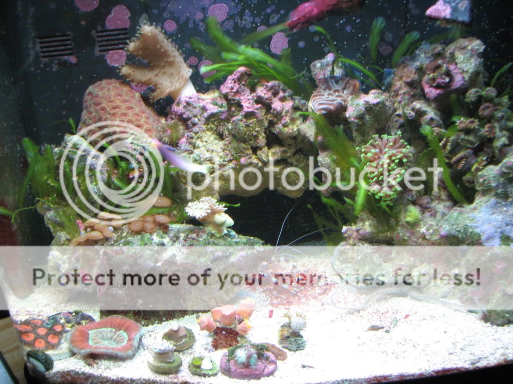IMG_1250.jpg