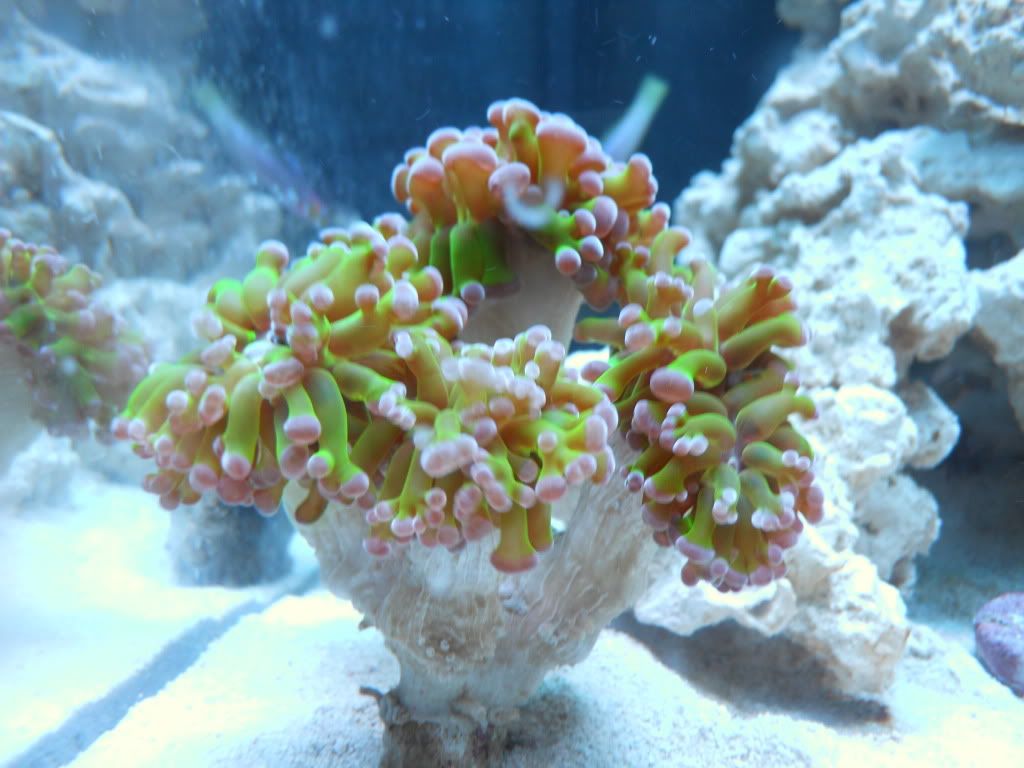 DSCN0082.jpg