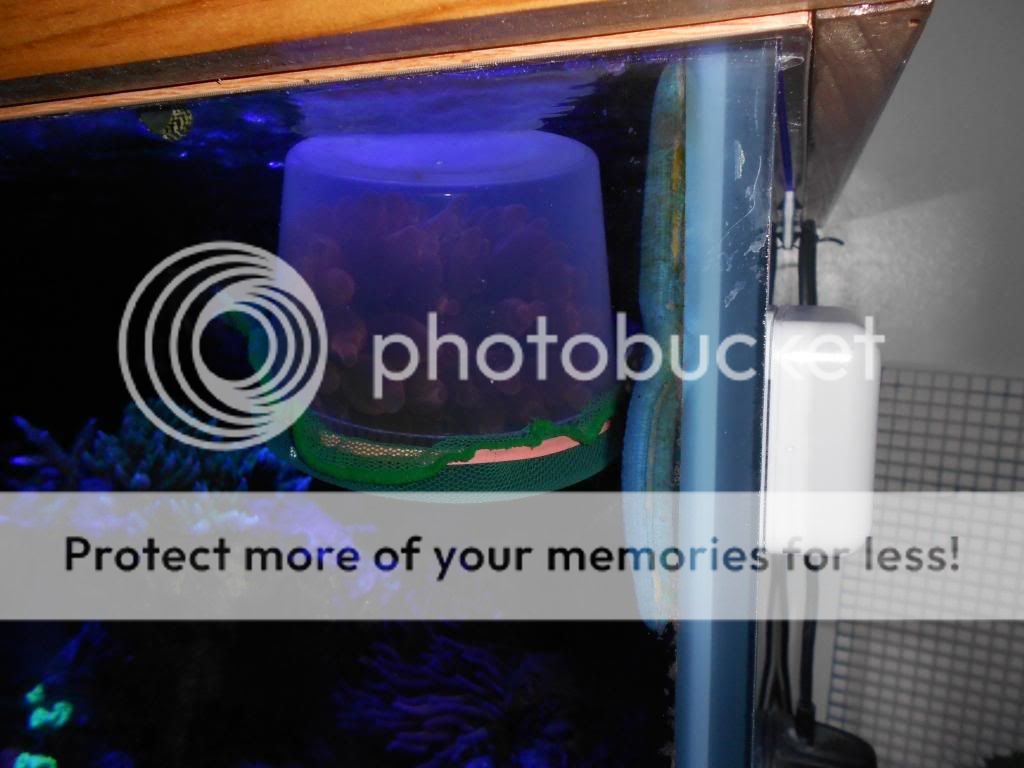 image_zps3c771b4e.jpg