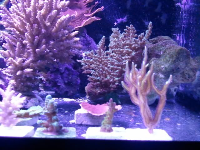2011-09-12151036.jpg