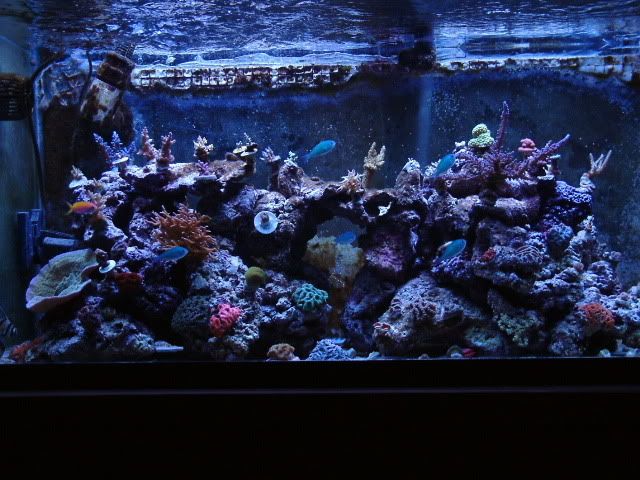 Tank2008_0306002.jpg