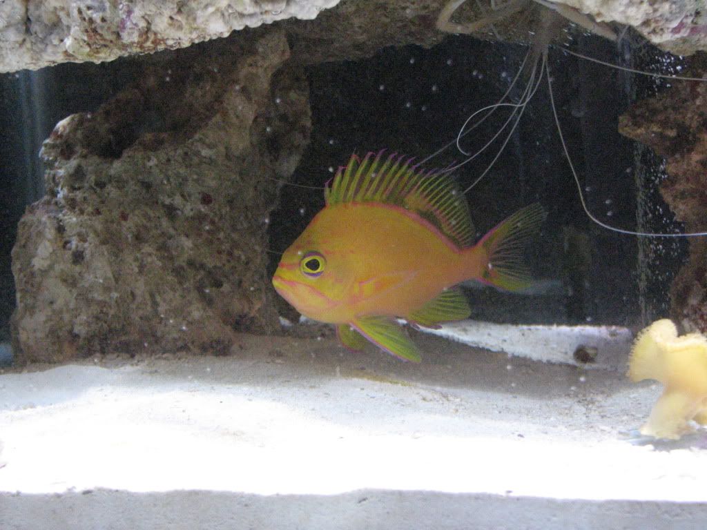 IMG_2666.jpg