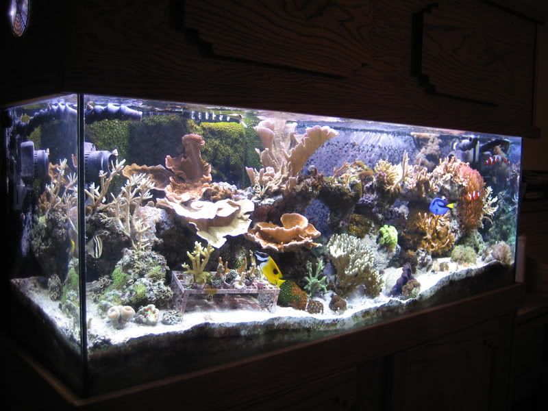 1-24-07005.jpg