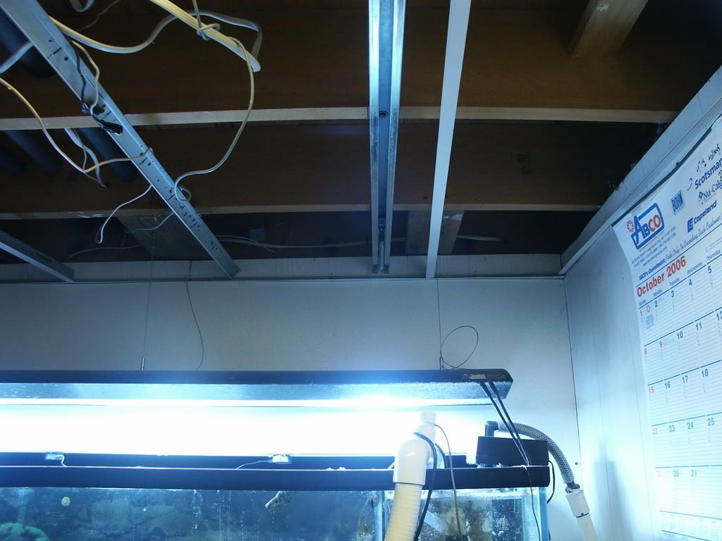 PICT0263.jpg