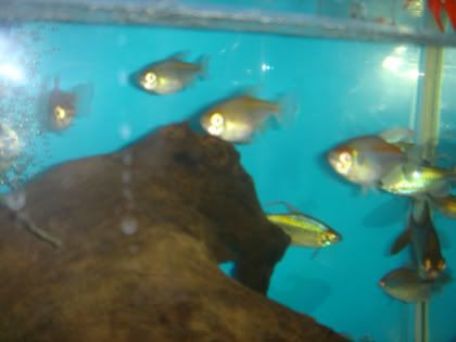 DSC01578.jpg