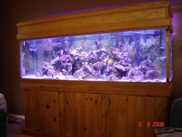 DSC00881.jpg