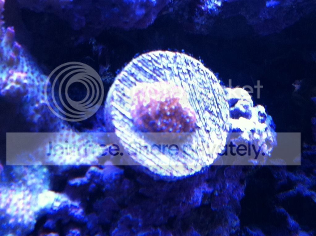 March2012024.jpg