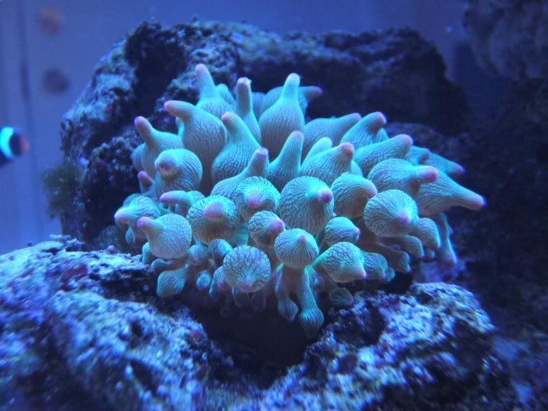 DSCF1088.jpg