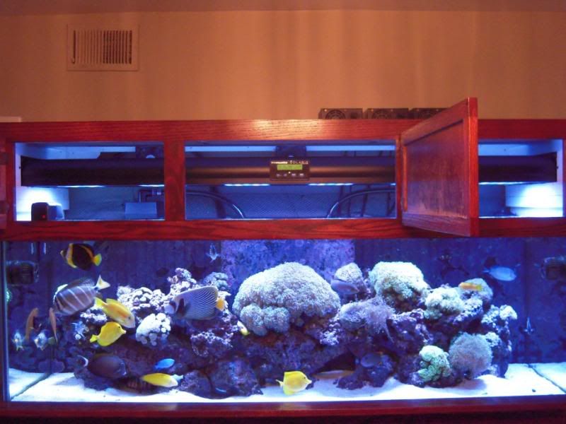 DSCN0511.jpg
