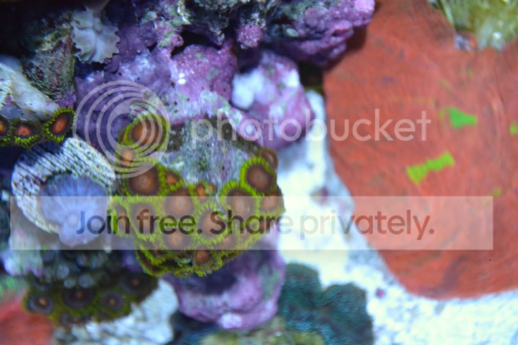 nanoforsale045.jpg