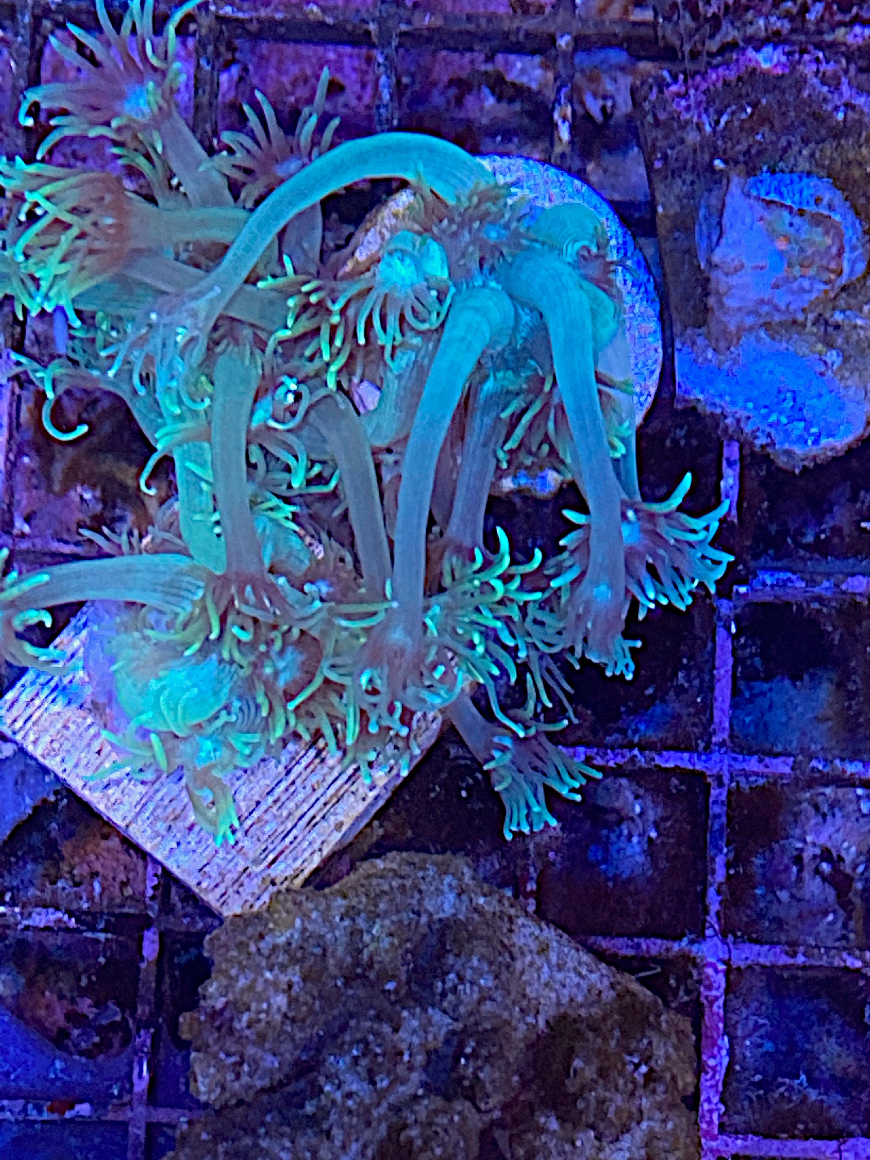 68cdf0173f8f147202f8c14c51e76568.jpg