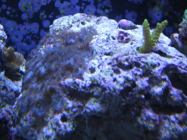 IMG_0411.jpg