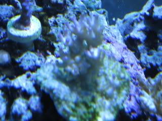 IMG_1780.jpg