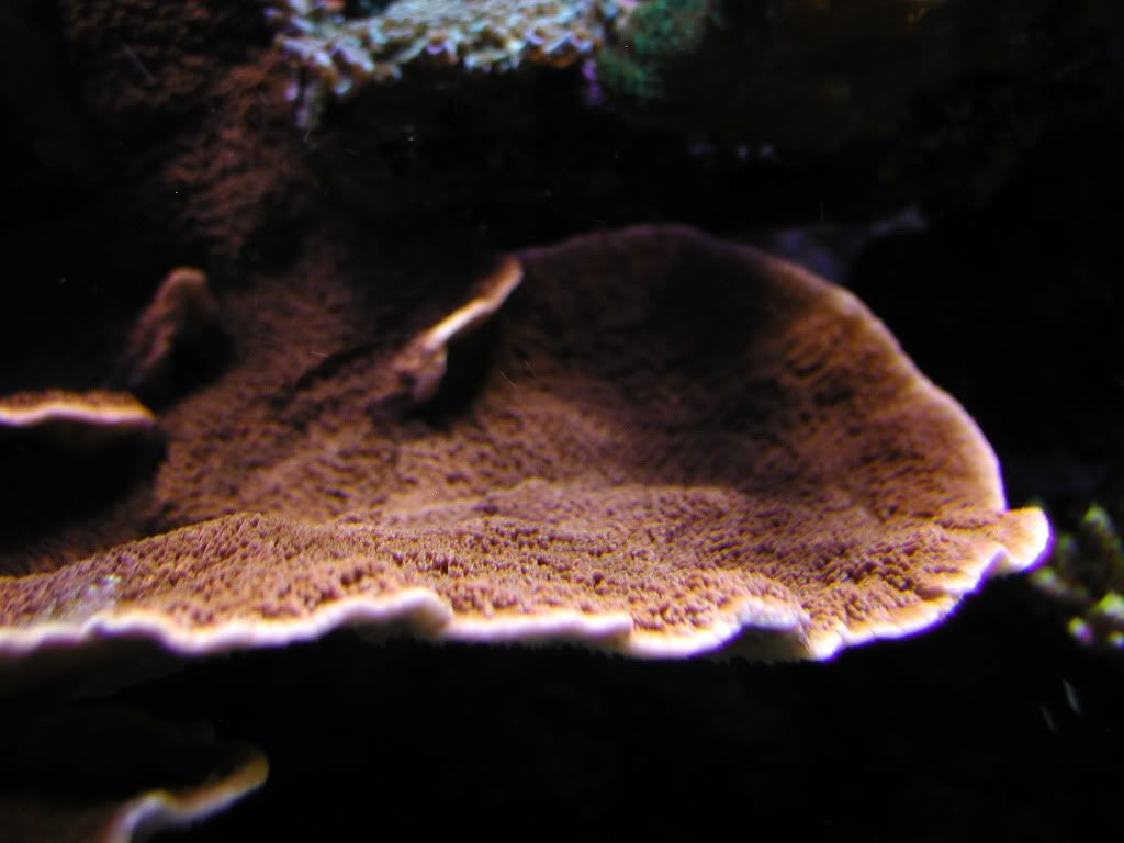 P1010087_edited-1.jpg