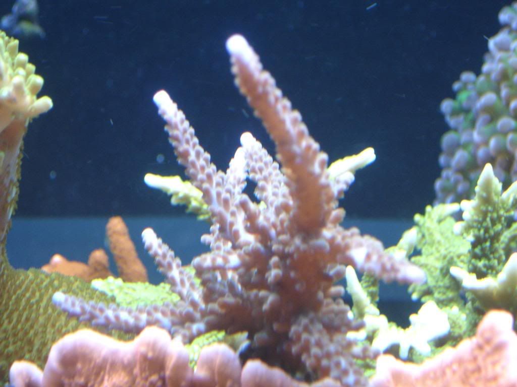 DSC04620.jpg